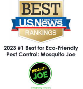 us news best pest control